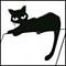 DiBo's Avatar